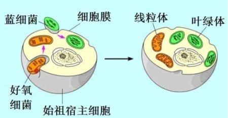 PDF P56 原图