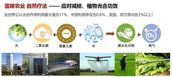 PDF P56 原图