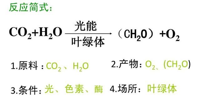 PDF P56 原图