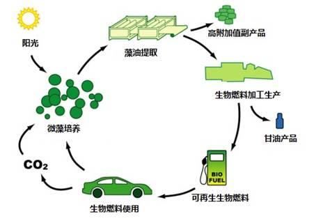 生物燃料降碳