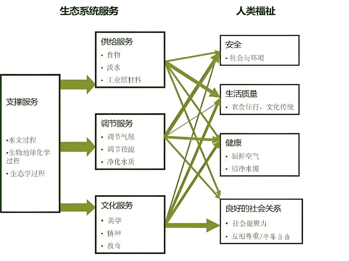 生态系统服务与人类福祉关系原图