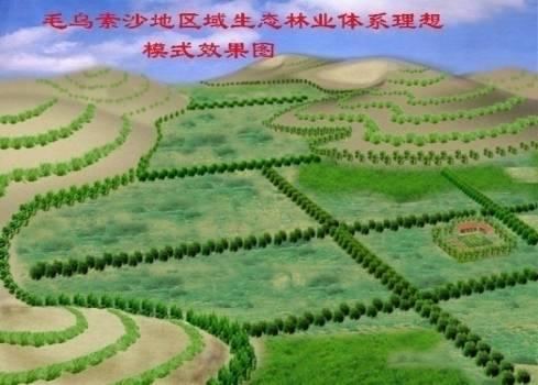 生态林业体系