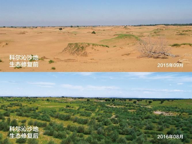 科尔沁沙地修复对比