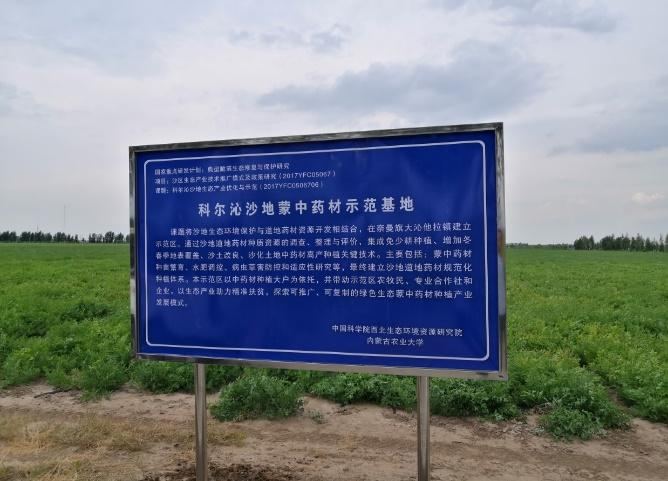 药材加工