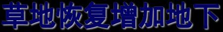 PDF P50 原图